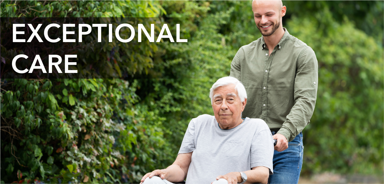 Image of caregiver with elderly person in a wheelchair.